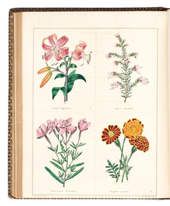 (BOTANICAL.) Benjamin Maund. The Botanic Garden; Consisting of Highly Finished Representations of Hardy Ornamental Flowering Plants.